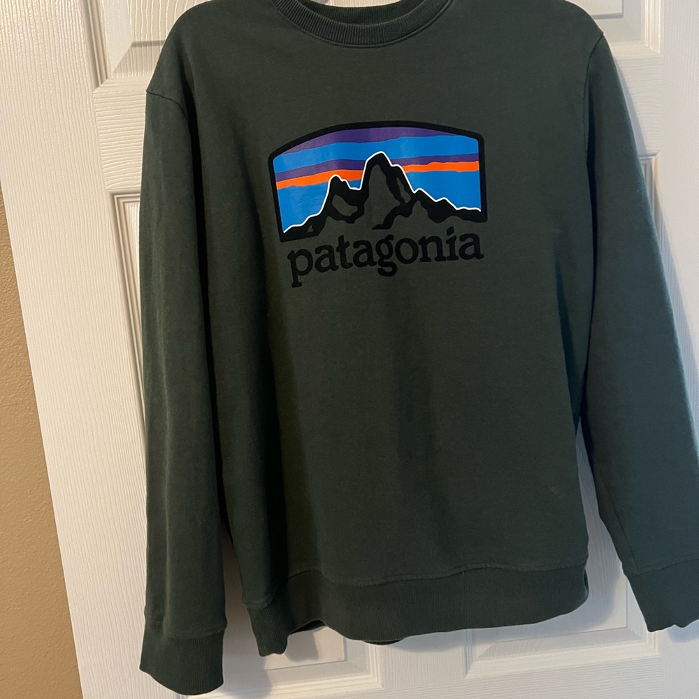 Patagonia Men's Dark Green Crewneck Sweater